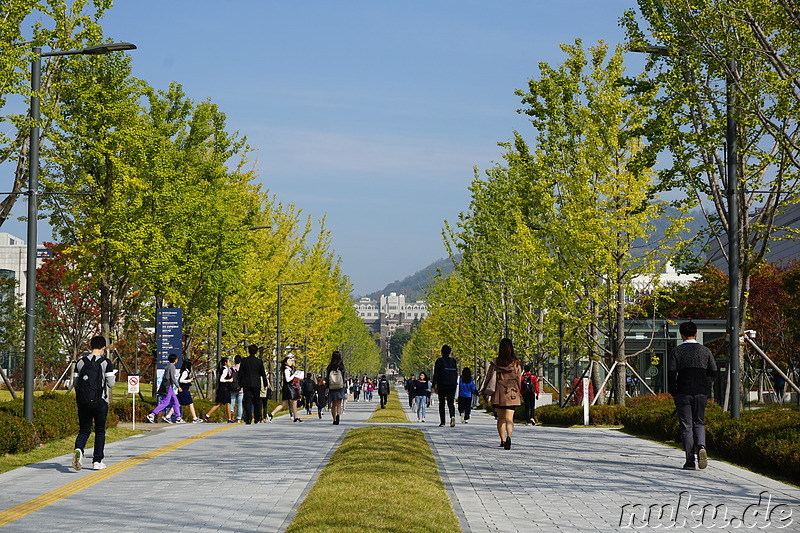 Campus der Yonsei University in Seoul, Korea