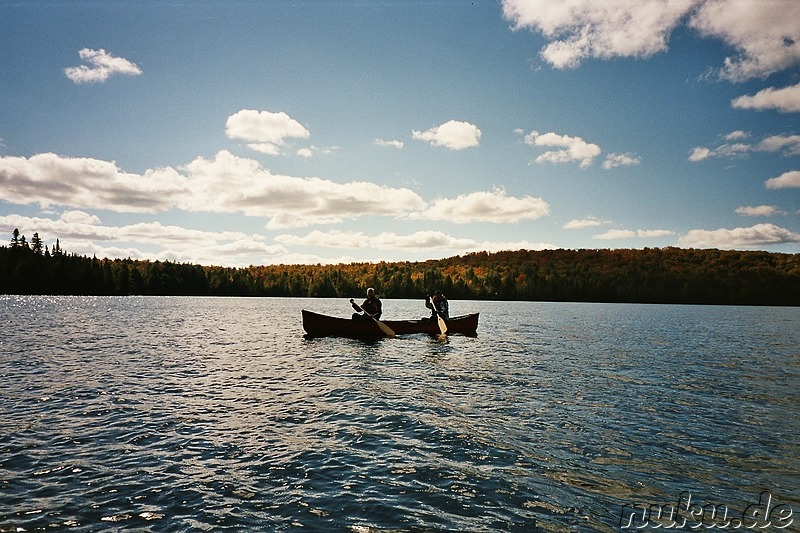 canoeing in algonquin provincial park, ontario