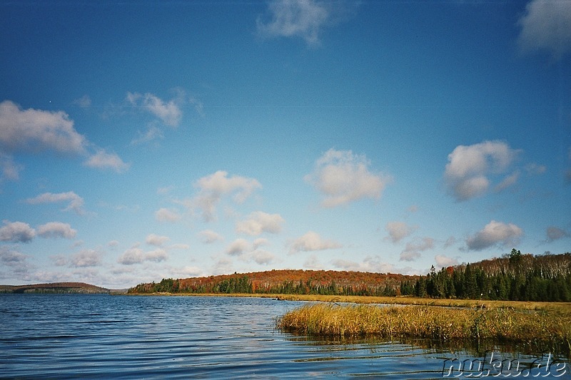 canoeing in algonquin provincial park, ontario