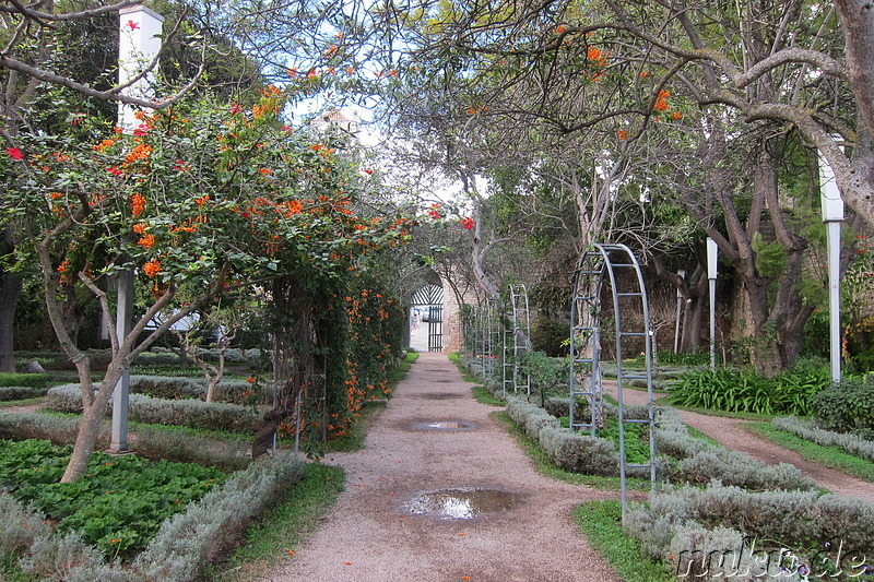 Castelo - Burg in Tavira, Portugal
