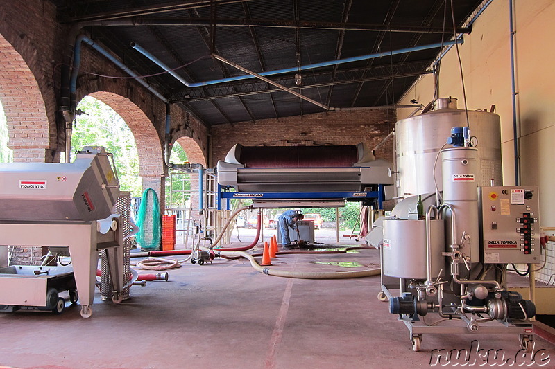 Cavas de Weinert in Chacras de Coria, Argentinien