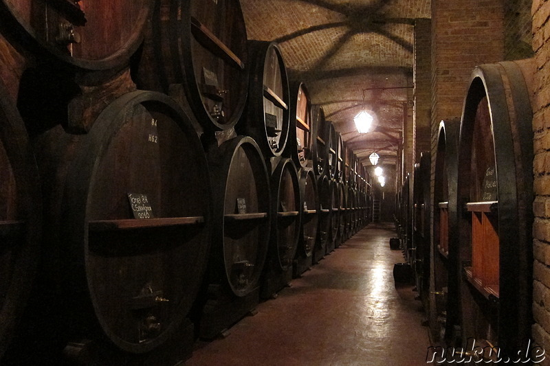 Cavas de Weinert in Chacras de Coria, Argentinien