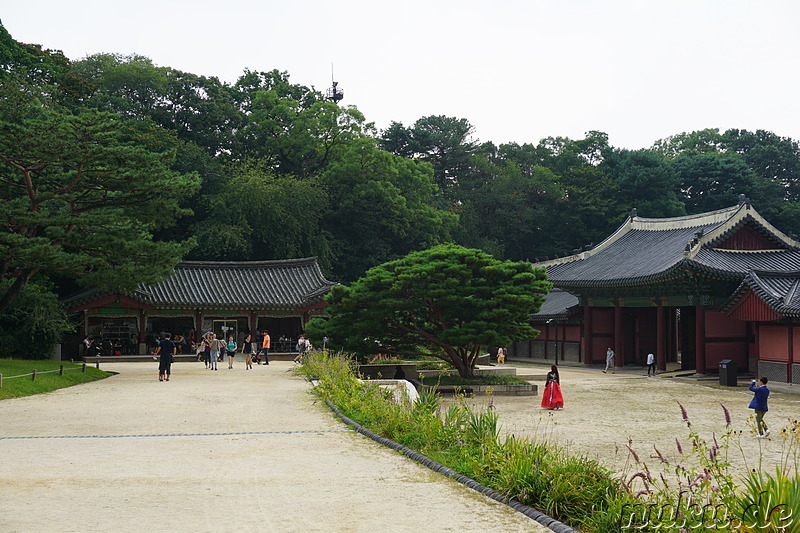 Changdeokgung (창덕궁) - Palast in Seoul, Korea 