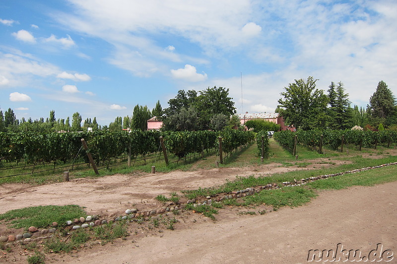 Clos de Chacras in Chacras de Coria, Argentinien