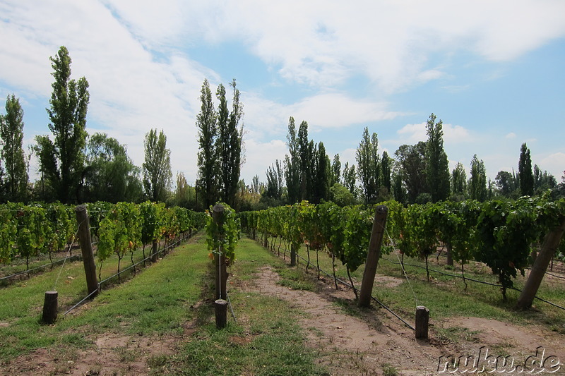 Clos de Chacras in Chacras de Coria, Argentinien