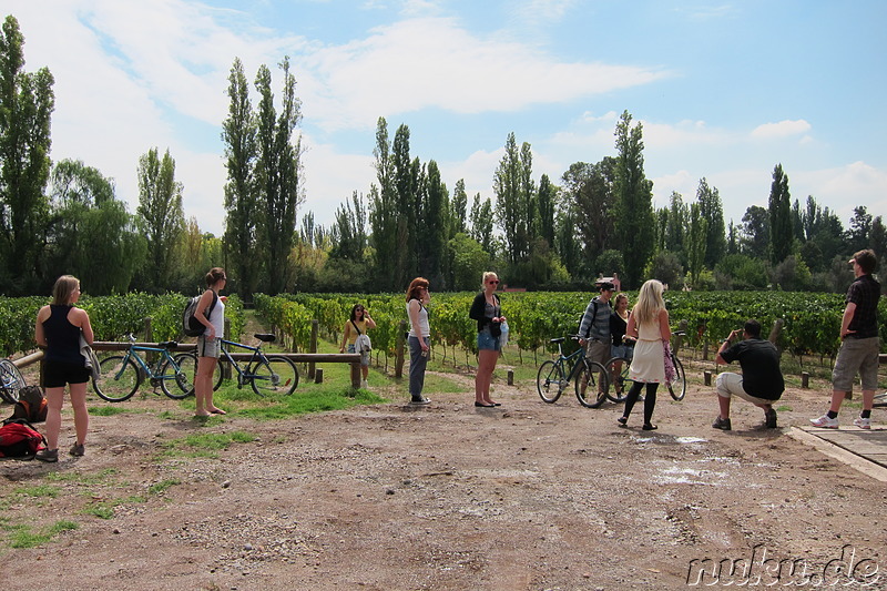 Clos de Chacras in Chacras de Coria, Argentinien