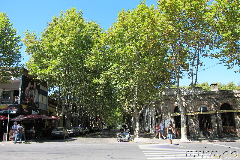 Colonias Hauptstrasse Avenida Flores - Colonia, Uruguay