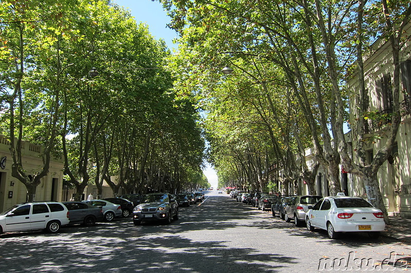 Colonias Hauptstrasse Avenida Flores - Colonia, Uruguay