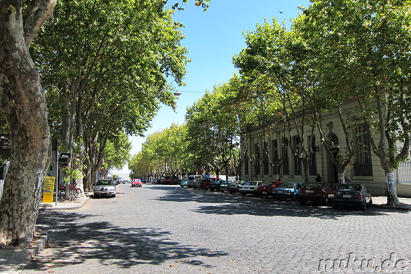 Colonias Hauptstrasse Avenida Flores - Colonia, Uruguay