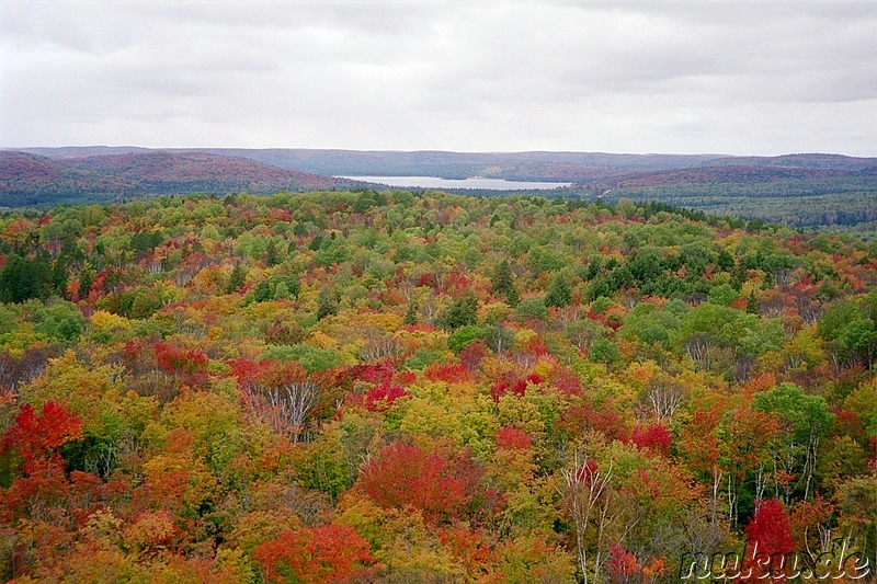 colourful view, algonquin park, ontario