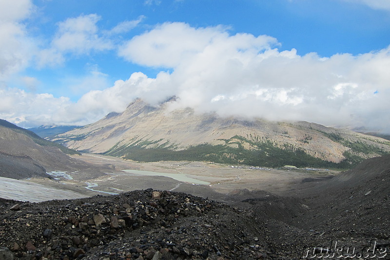 Columbia Icefields (Athabasca Glacier) im Jasper National Park, Kanada