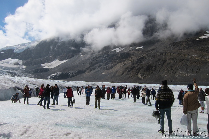 Columbia Icefields (Athabasca Glacier) im Jasper National Park, Kanada