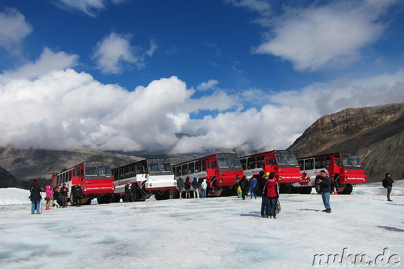 Columbia Icefields (Athabasca Glacier) im Jasper National Park, Kanada