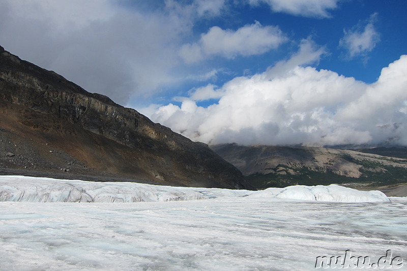 Columbia Icefields (Athabasca Glacier) im Jasper National Park, Kanada