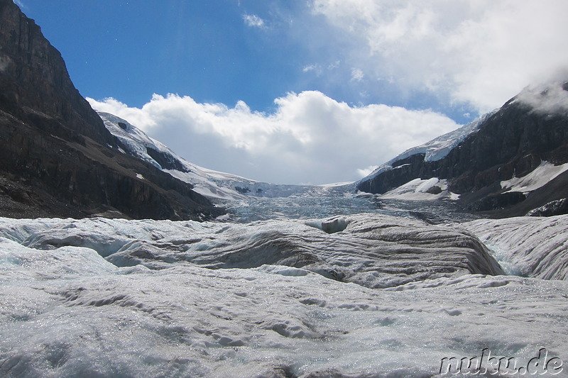 Columbia Icefields (Athabasca Glacier) im Jasper National Park, Kanada