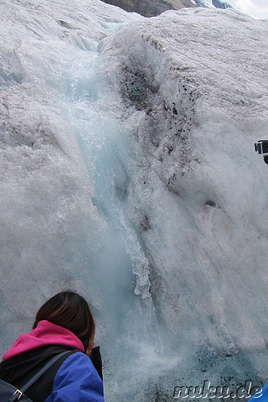 Columbia Icefields (Athabasca Glacier) im Jasper National Park, Kanada