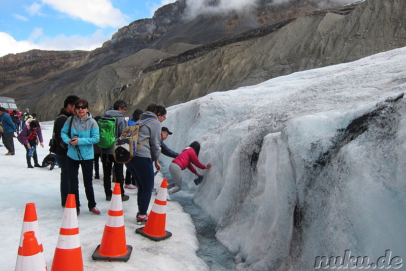 Columbia Icefields (Athabasca Glacier) im Jasper National Park, Kanada