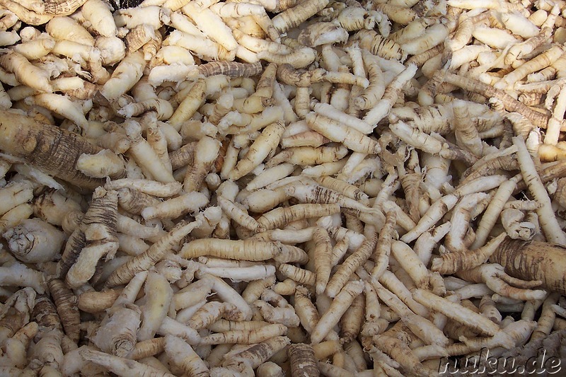 Deodeok (Eine lokale Spezialität)
