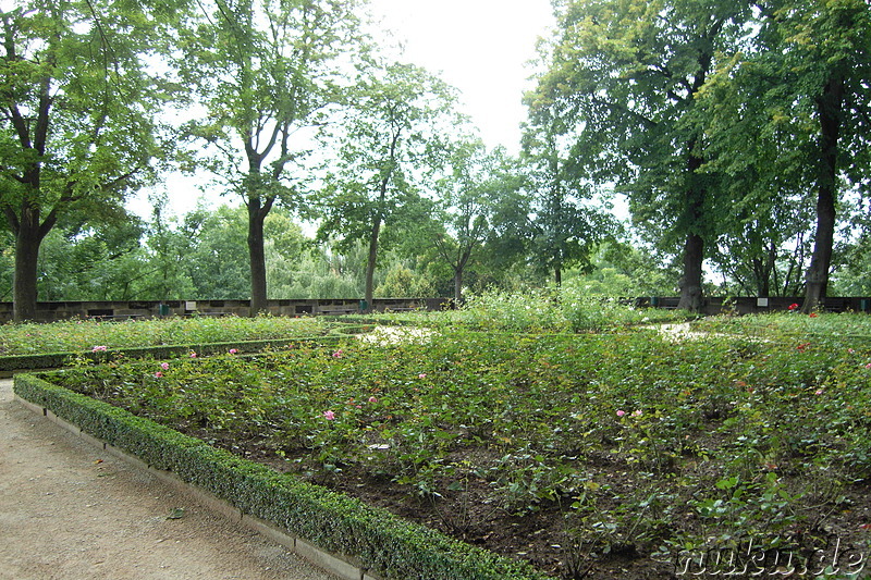 Der Nürnberger Burggarten