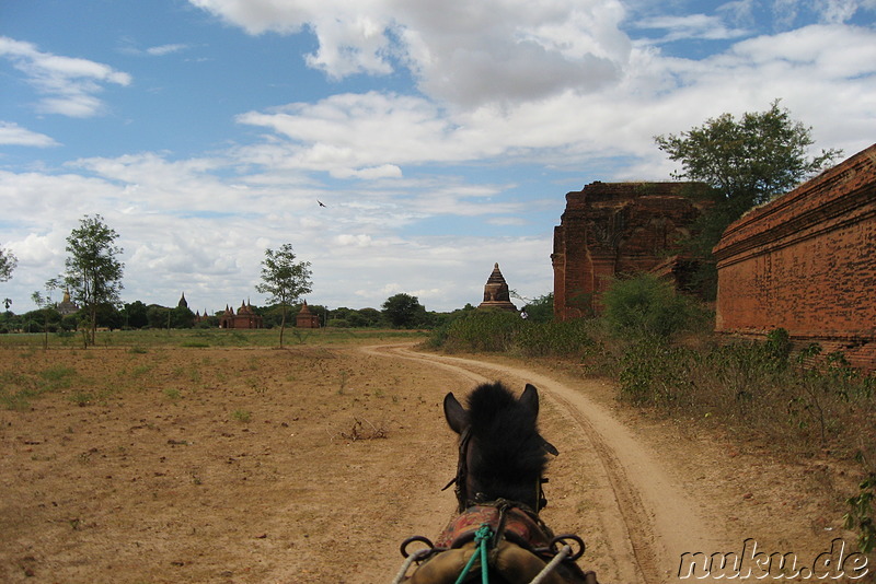 Dhammayangyi Pahto - Tempel in Bagan, Myanmar