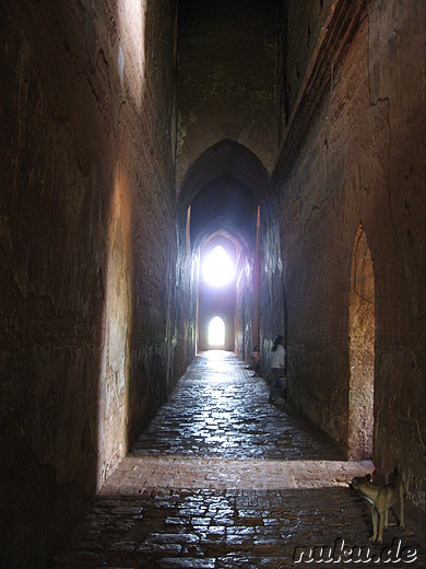 Dhammayangyi Pahto - Tempel in Bagan, Myanmar