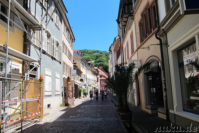 Die Freiburger Innenstadt