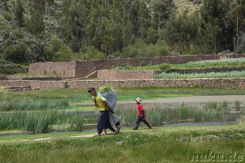 Die Inca-Befestigungsanlage von Raqchi, Peru