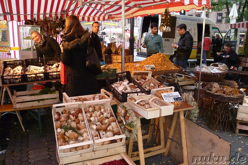 Die Lorenzer Altstadt von Nürnberg