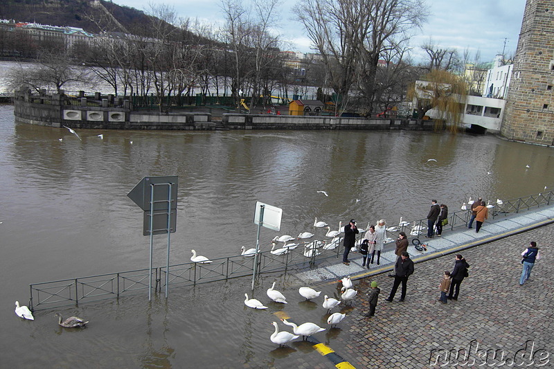 Die Moldau (Vltava) in Prag, Tschechien