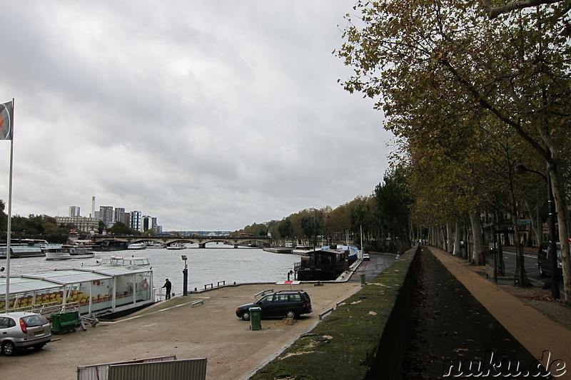 Die Seine in Paris, Frankreich