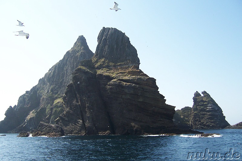 Dokdo