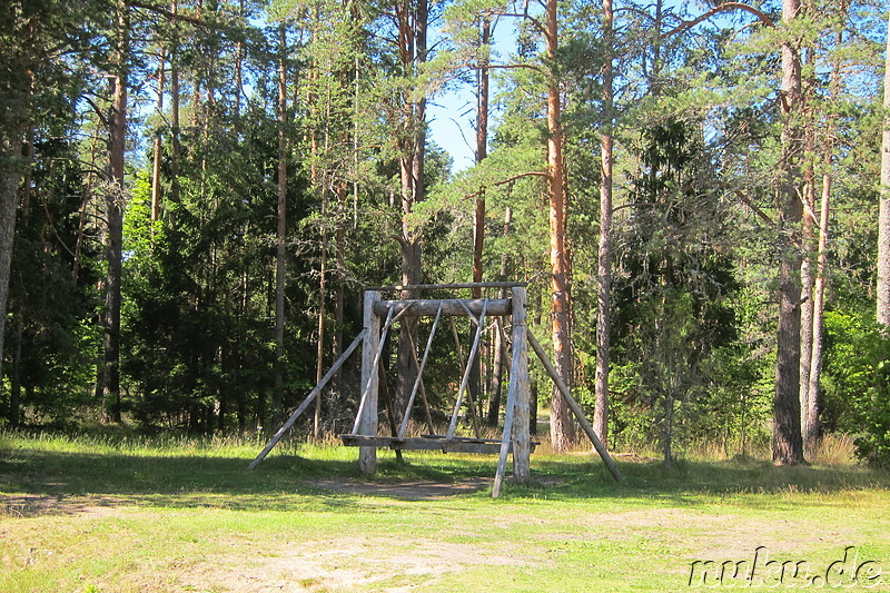 Dorfgemeinschaftsschaukel im Lahemaa National Park, Estland