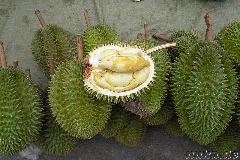 Durian - Stinkfrucht bzw. Käsefrucht