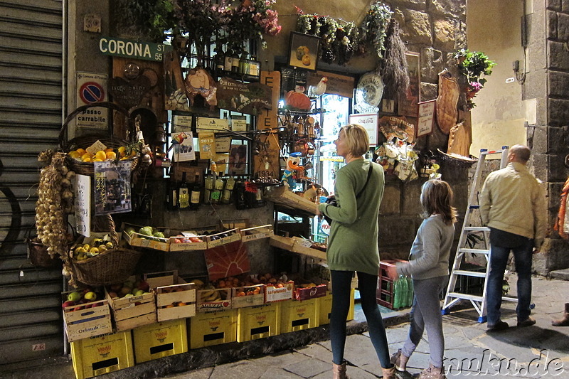 Eindrücke aus Florenz, Italien