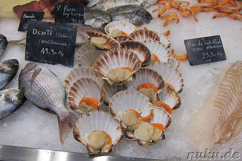 Eindrücke aus Saint Remy de Provence, Frankreich