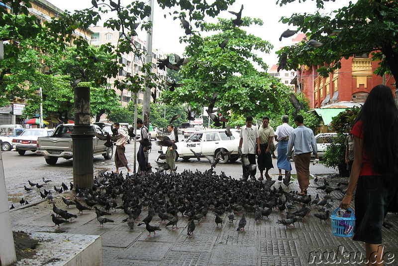 Eindrücke aus Yangon, Myanmar (Rangun, Burma)