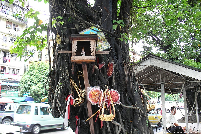 Eindrücke aus Yangon, Myanmar (Rangun, Burma)