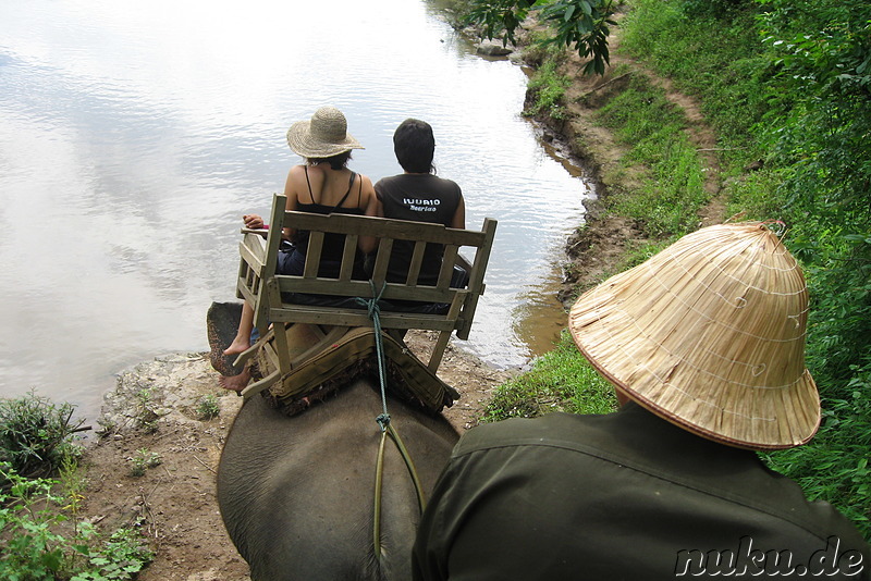 Elefantencamp in Luang Prabang, Laos