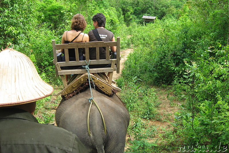 Elefantenreiten in Luang Prabang