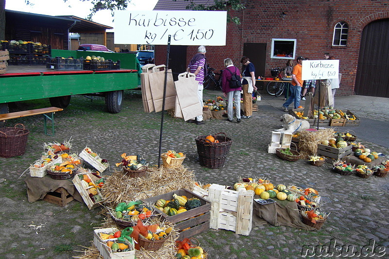 Erntefest in Scharmbeck bei Winsen/Luhe