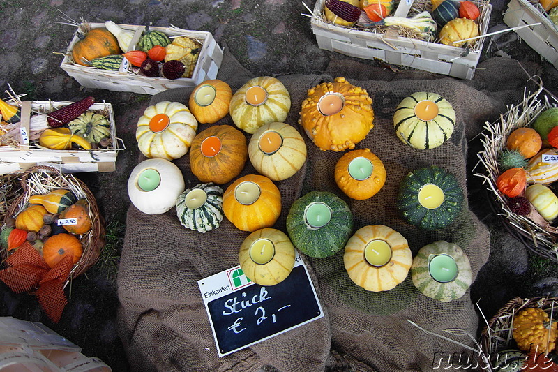 Erntefest in Scharmbeck bei Winsen/Luhe