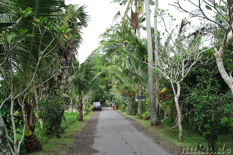 Fahrradtour auf Bali, Indonesien