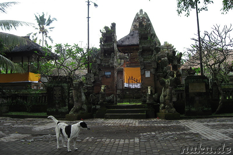 Fahrradtour auf Bali, Indonesien