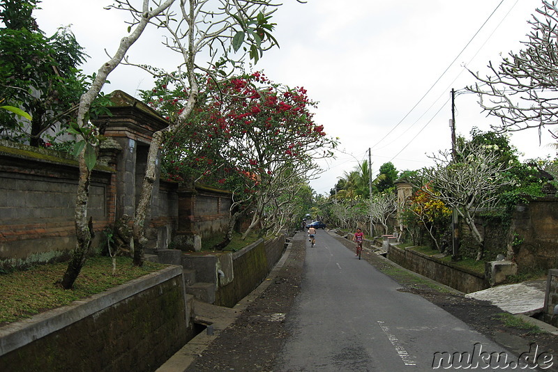 Fahrradtour auf Bali, Indonesien