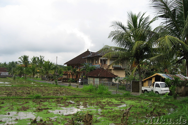 Fahrradtour auf Bali, Indonesien