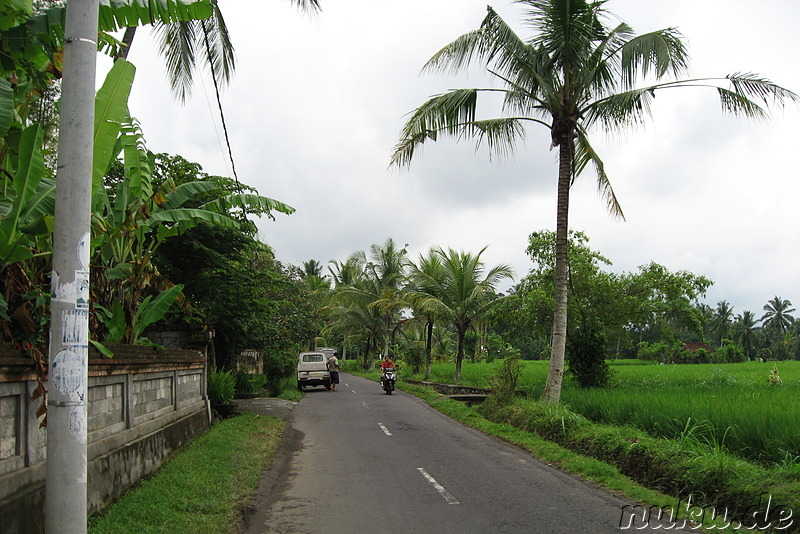 Fahrradtour auf Bali, Indonesien