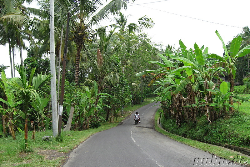 Fahrradtour auf Bali, Indonesien