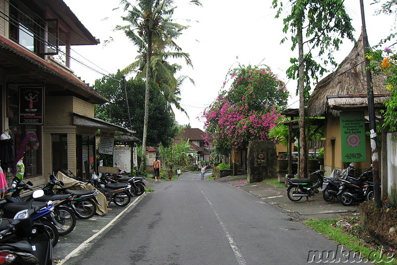 Fahrradtour auf Bali, Indonesien