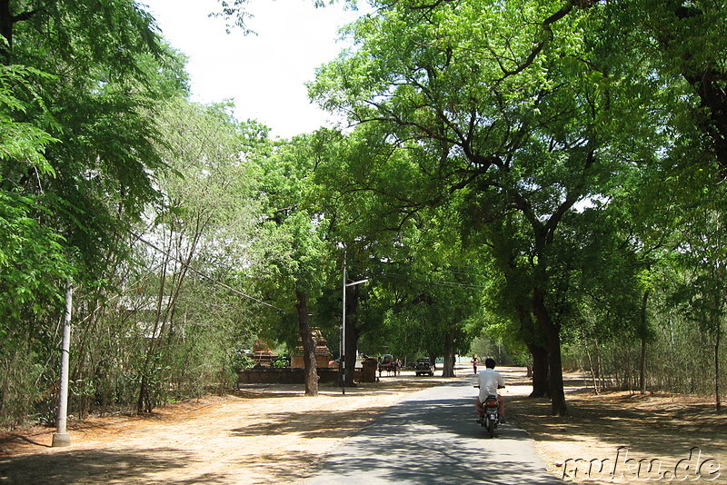 Fahrradtour in Bagan, Myanmar