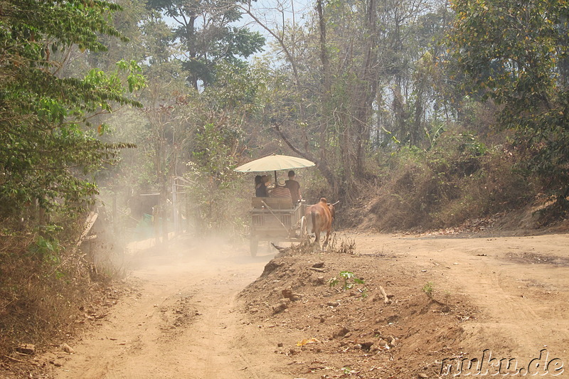 Fahrt im Ochsenkarren in Chiang Mai, Thailand